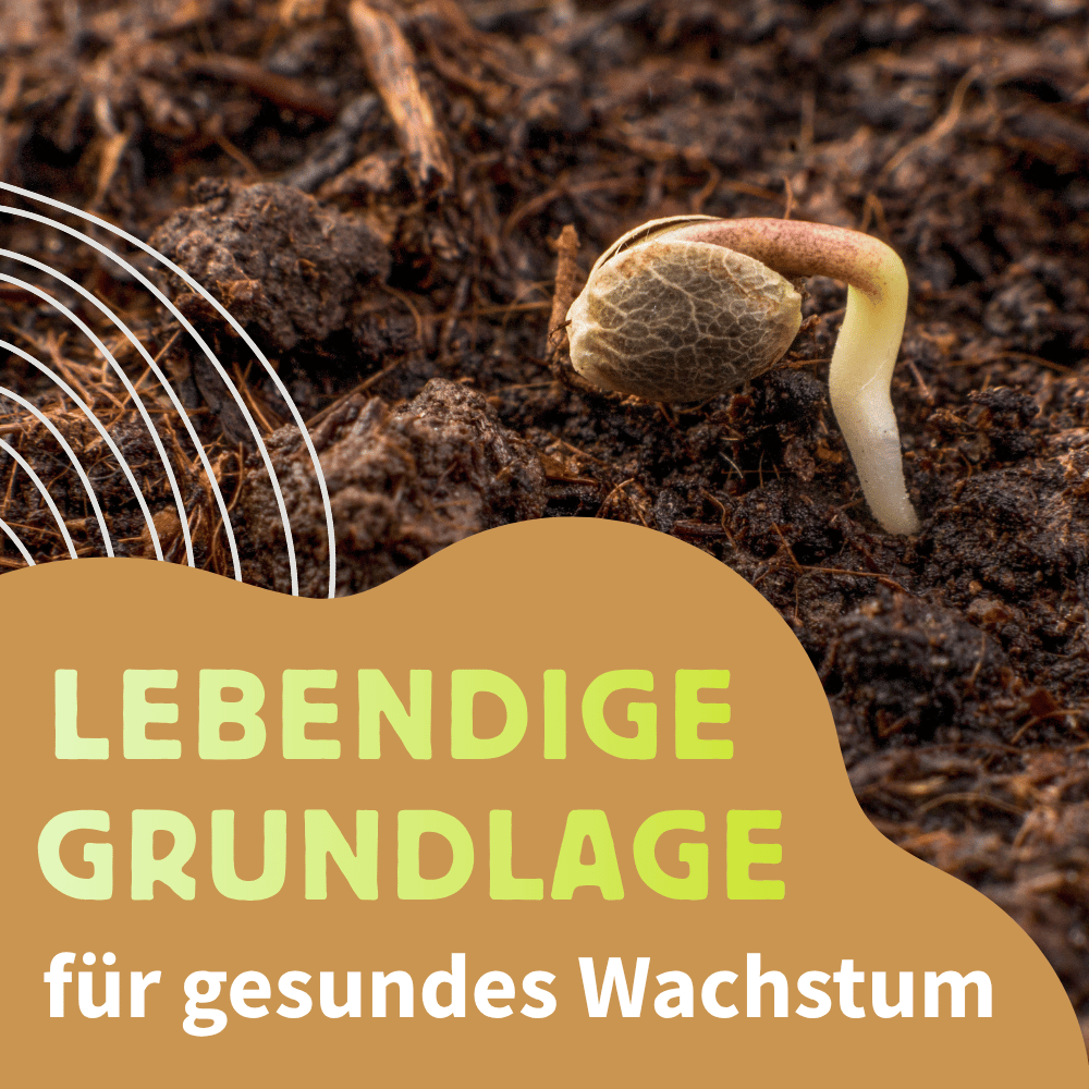 Living Soil – und was wir daraus machen