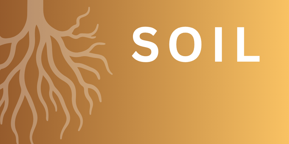 SOIL · Boden & Basis