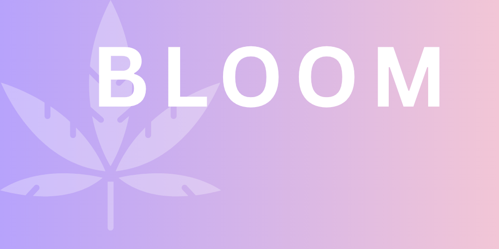 Bloom · Blüte & Reife