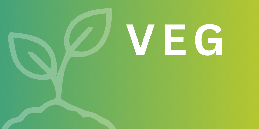 VEG · Wachstum & Vitalität