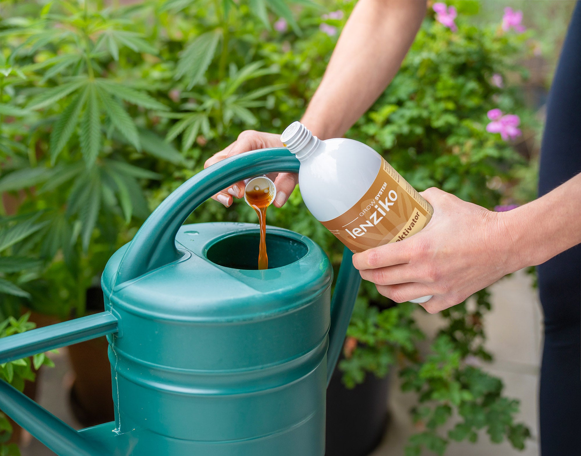 Lenziko Root Booster bereit zum gießen