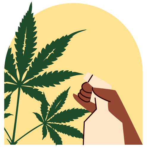 Vitalisierung von Cannabispflanzen mit Hilfe von Sprühflasche
