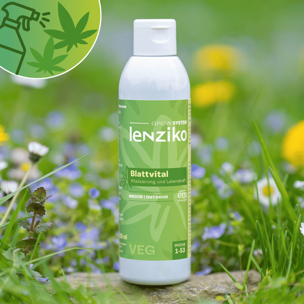 Lenziko Blattvital