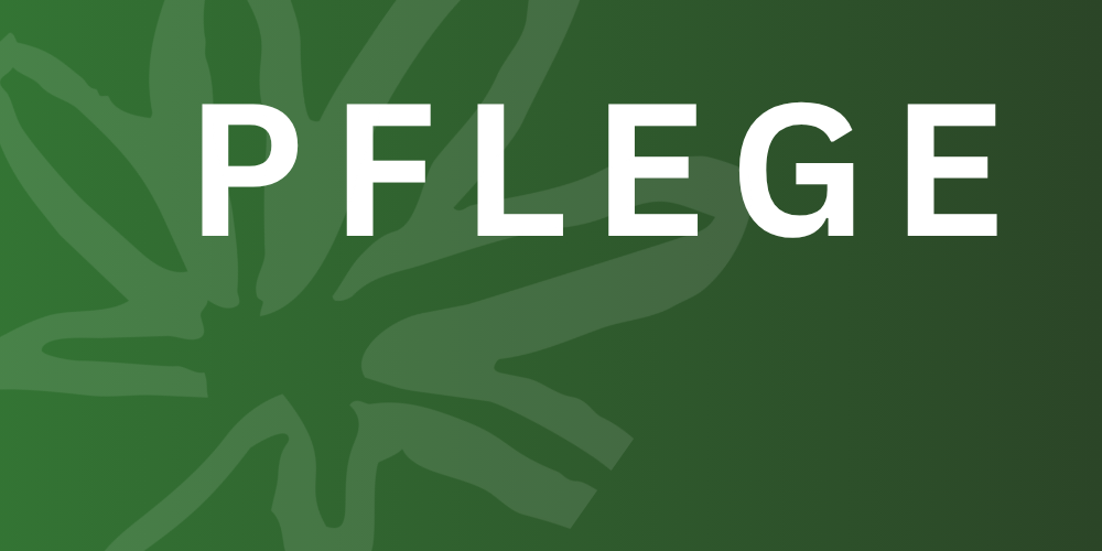 Lenziko Pflege