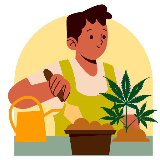 Beetvorbereitung für Cannabispflanze