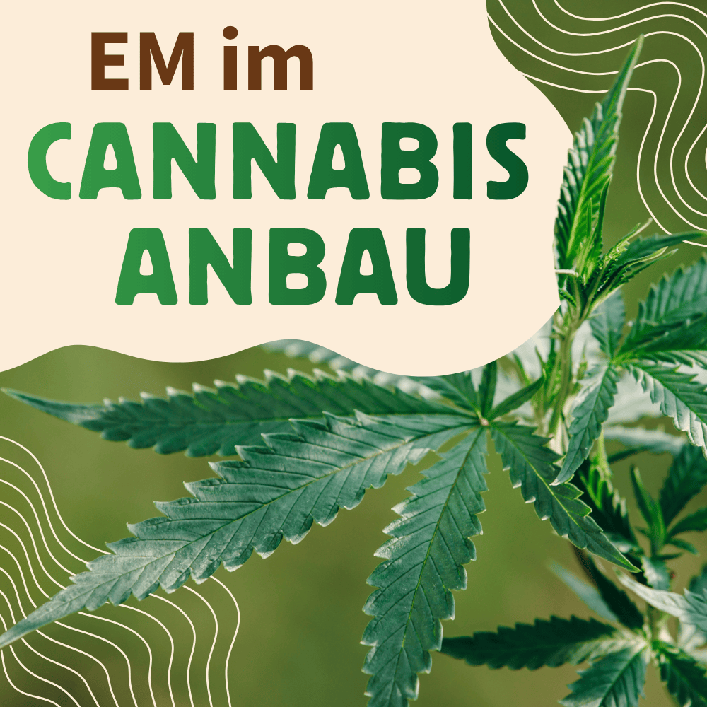 EM im Cannabisanbau Schriftzug