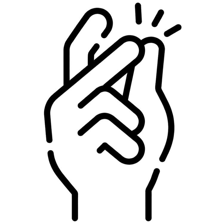 Anwendungsicon Symbol